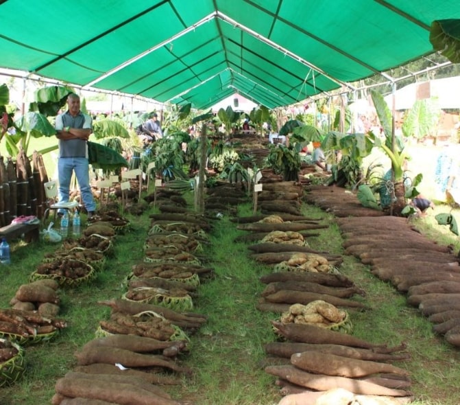 agri-processing-sector