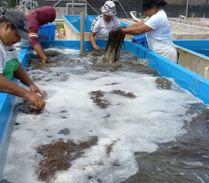 fisheries-agri-market