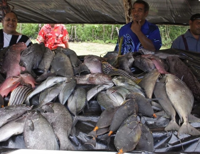 fisheries-img2