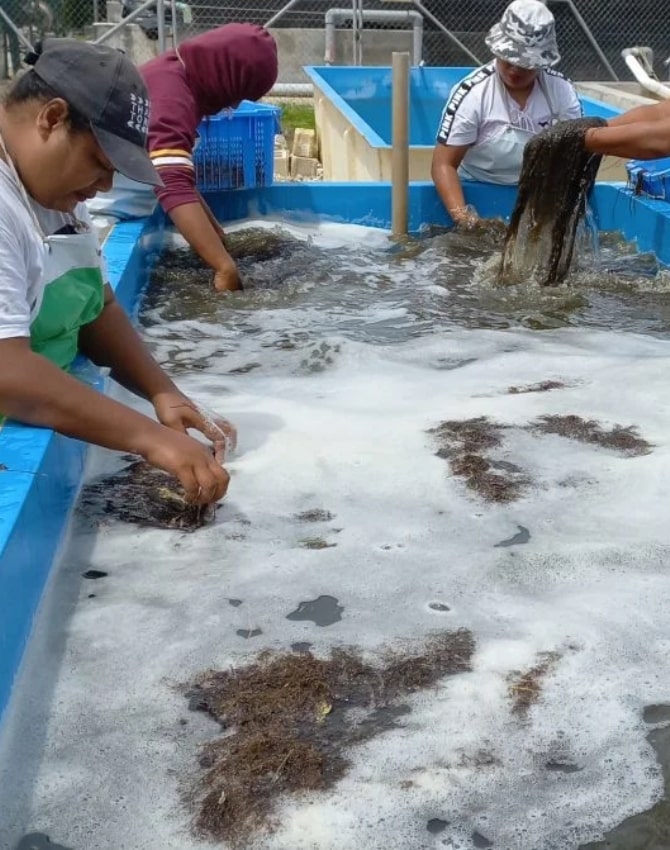 fisheries-invetment-img-2