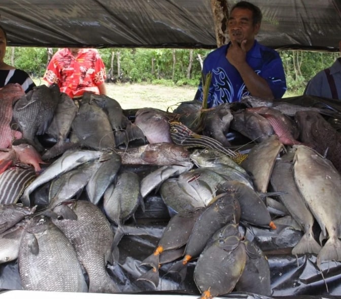 fisheries-sector